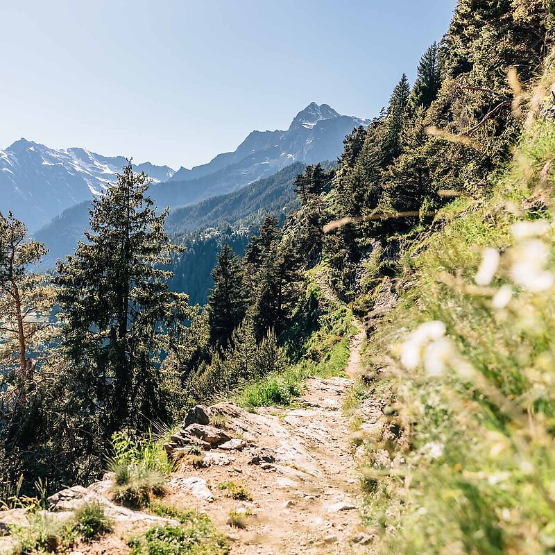 Tirolo - Vellau