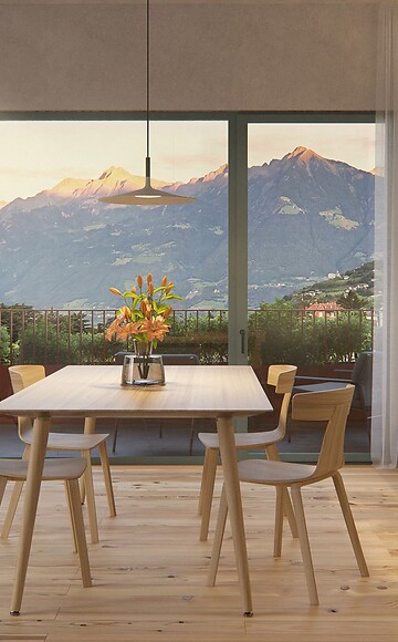 Apartment Attico